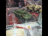 Tiger Models