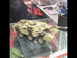 Tiger Models