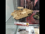 Tiger Models