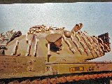 M60A1 RISE w ERA